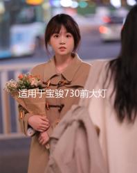 適用于寶駿730前大燈總成14-21款左右560前照燈轉(zhuǎn)向燈組合燈罩